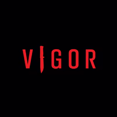 Vigor cheats with aimbot and ESP